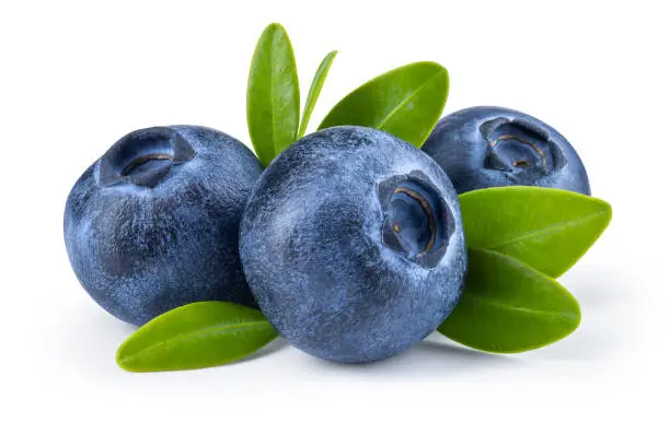 Fresh Blueberries